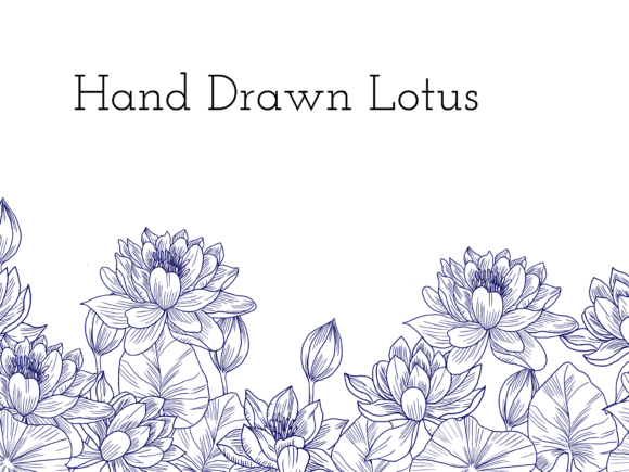 Download Hand Drawn Lotus - Lotus Collection